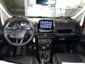 Ford EcoSport 1.0 EcoBoost 125 CV Start&Stop Active Rosso - thumbnail 15