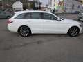 Mercedes-Benz C 200 T BlueTec d ~ Automatik ~ Bianco - thumbnail 5