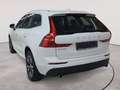 Volvo XC60 XC60 B4 D AWD A. Momentum Pro PANO RFK Weiß - thumbnail 2