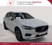 Volvo XC60 XC60 B4 D AWD A. Momentum Pro PANO RFK Weiß - thumbnail 1