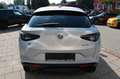 Alfa Romeo Stelvio Competizione Q4 Garantie bis 11.2027 Grau - thumbnail 5