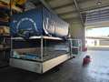 Ford Transit DK Basis 350 EL 2,4 L 115 PS Doppelkabine Weiß - thumbnail 6