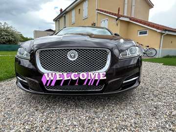 V8 5.0 - 385 Luxe Premium Empattement Long A