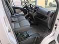 Fiat Ducato 35 2.3 MJT 130 CV maxi doppia cabina  gru Blanc - thumbnail 10