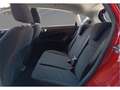 Ford Fiesta 1.25 Duratec 60kW (82CV) Trend 5p - thumbnail 14