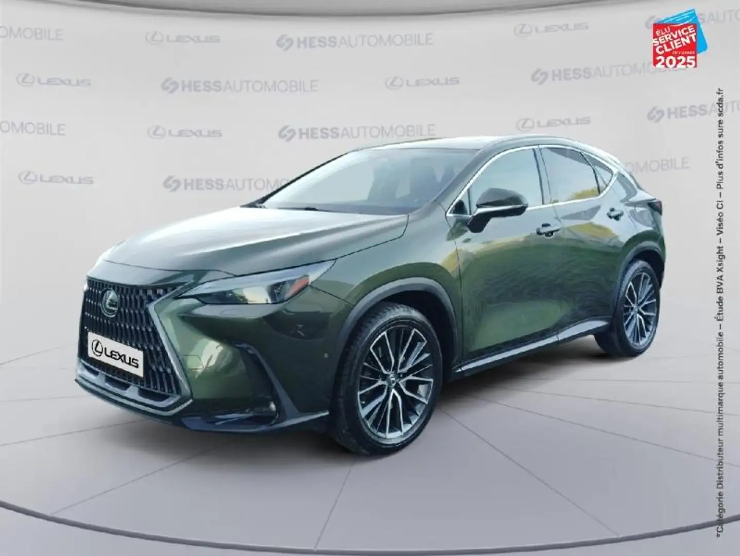 Lexus NX 450h+ 450h+ Executive 4WD MY24 Tpano Sieges chauf/ventil/cuir Volant chauf Attelage Grün - 1