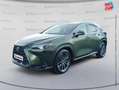 Lexus NX 450h+ 450h+ Executive 4WD MY24 Tpano Sieges chauf/ventil/cuir Volant chauf Attelage Grün - thumbnail 1