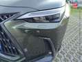 Lexus NX 450h+ 450h+ Executive 4WD MY24 Tpano Sieges chauf/ventil/cuir Volant chauf Attelage Grün - thumbnail 13