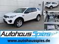 Land Rover Discovery Sport Sport 2.0 eD4  Pure Nav Shz EU6 Blanc - thumbnail 1