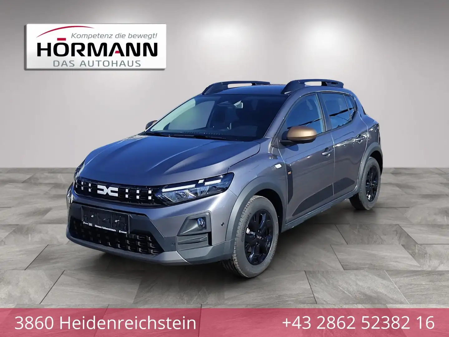 Dacia Sandero Stepway Extreme TCe 110 Grau - 1