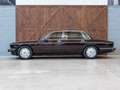 Daimler Double Six LWB Majestic 6.0 ltr. Rot - thumbnail 4