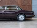 Daimler Double Six LWB Majestic 6.0 ltr. Rot - thumbnail 6