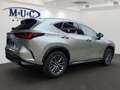 Lexus NX 350h Business~Bel.Sitze~360Kamera~ Beige - thumbnail 5
