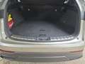 Lexus NX 350h Business~Bel.Sitze~360Kamera~ Beige - thumbnail 11