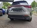 Lexus NX 350h Business~Bel.Sitze~360Kamera~ Beige - thumbnail 12