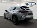 Lexus NX 350h Business~Bel.Sitze~360Kamera~ Beige - thumbnail 6