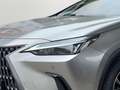 Lexus NX 350h Business~Bel.Sitze~360Kamera~ Beige - thumbnail 8