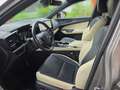 Lexus NX 350h Business~Bel.Sitze~360Kamera~ Beige - thumbnail 13