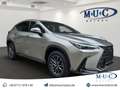 Lexus NX 350h Business~Bel.Sitze~360Kamera~ Beige - thumbnail 1