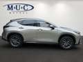 Lexus NX 350h Business~Bel.Sitze~360Kamera~ Beige - thumbnail 4