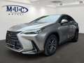 Lexus NX 350h Business~Bel.Sitze~360Kamera~ Beige - thumbnail 3