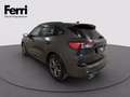 Ford Kuga 1.5 ecoblue ST-Line 2wd 120cv Gris - thumbnail 14
