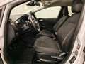 Ford Fiesta 1.0 Titanium LED, CarPlay, Winter P. Weiß - thumbnail 13