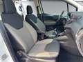 Ford Tourneo Courier 1,5 TDCi Titanium Start/Stop Weiß - thumbnail 10