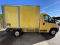 Fiat Ducato 3.5 LH2 2.3 MULTIJET 16V 115CH PACK 11M3 + HAYON 5 Jaune - thumbnail 7