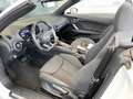 Audi TT Roadster 40 TFSI Aut. Navi SHZ Xenon PDC Weiß - thumbnail 7
