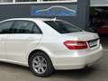 Mercedes-Benz E 200 BlueEfficiency * Sehr gute Ausstattung Blanc - thumbnail 12