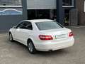 Mercedes-Benz E 200 BlueEfficiency * Sehr gute Ausstattung Blanc - thumbnail 7