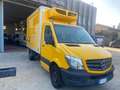 Mercedes-Benz Sprinter FRA/FRIGO/ATP VALIDO 2026/2017 Giallo - thumbnail 3