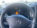 Mercedes-Benz Sprinter FRA/FRIGO/ATP VALIDO 2026/2017 Giallo - thumbnail 11