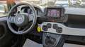 Fiat Pandina PANDINA CROSS HYBRID 1.0cc 70cv Blanc - thumbnail 9