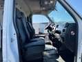 Renault Master l2 h2 Blanco - thumbnail 16