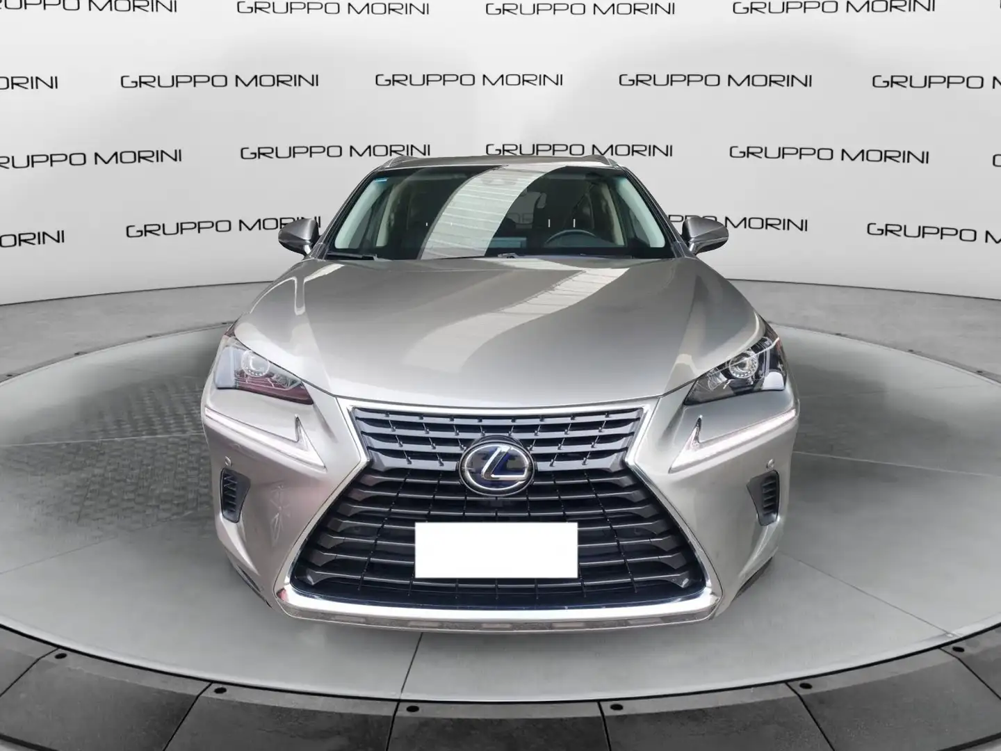 Lexus NX 300 NX Hybrid 4WD Executive Or - 2