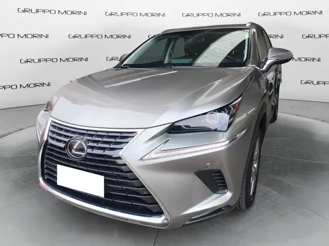 Lexus NX 300 NX Hybrid 4WD Executive