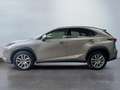 Lexus NX 300 NX Hybrid 4WD Executive Or - thumbnail 3