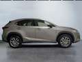 Lexus NX 300 NX Hybrid 4WD Executive Or - thumbnail 4