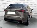 Lexus NX 300 NX Hybrid 4WD Executive Or - thumbnail 6
