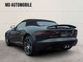 Jaguar F-Type F-TYPE Cabriolet Facelift Grau - thumbnail 4