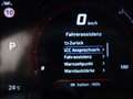 Hyundai IONIQ STYLE Elektro Aut. *SCHIEBEDACH *96% GETESTET *CC Grau - thumbnail 29