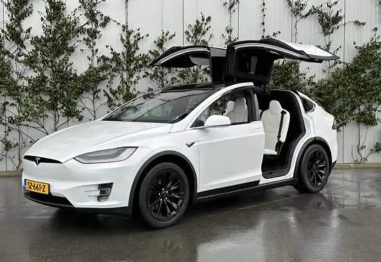 Tesla Model X 75D Base Bianco - 1