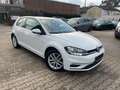 Volkswagen Golf 1.0 TSI DSG Comfort.*Klima*Navi*Alcantara Blanc - thumbnail 7