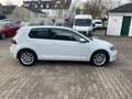 Volkswagen Golf 1.0 TSI DSG Comfort.*Klima*Navi*Alcantara Blanc - thumbnail 4