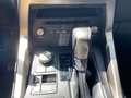 Lexus NX 300 h 300h Executive Line Pano ParkAss. ACC - thumbnail 22