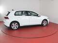 Volkswagen Golf GTE 1.4TSI DSG 249,-ohne Anzahlung Navi Active-In Weiß - thumbnail 15