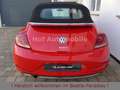 Volkswagen Beetle 1.2TSI DSG Sound Plus Kamera Fender AppCo Rouge - thumbnail 6