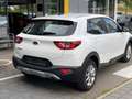 Kia Stonic 1.2 Edition 7 + Winterräder Weiß - thumbnail 5